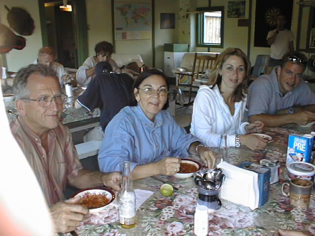 {short description of image}