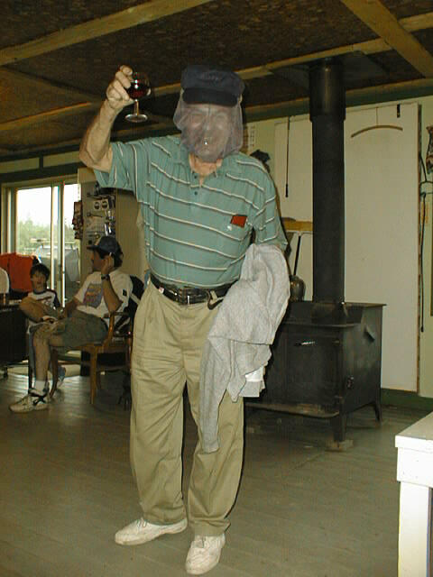 {short description of image}