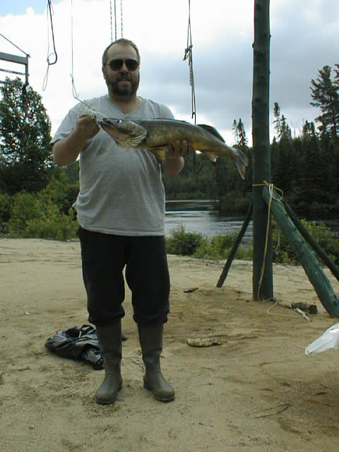 {short description of image}