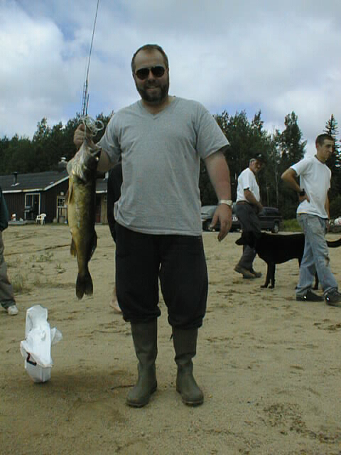 {short description of image}