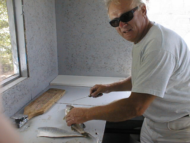 {short description of image}