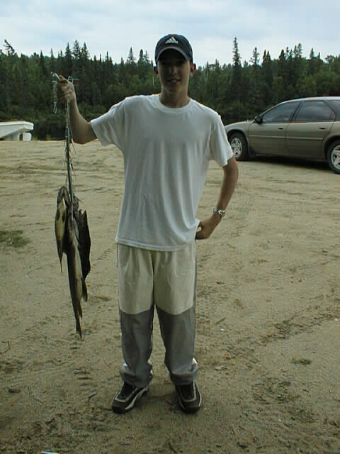 {short description of image}