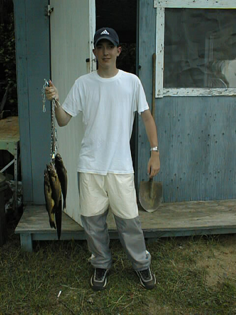 {short description of image}