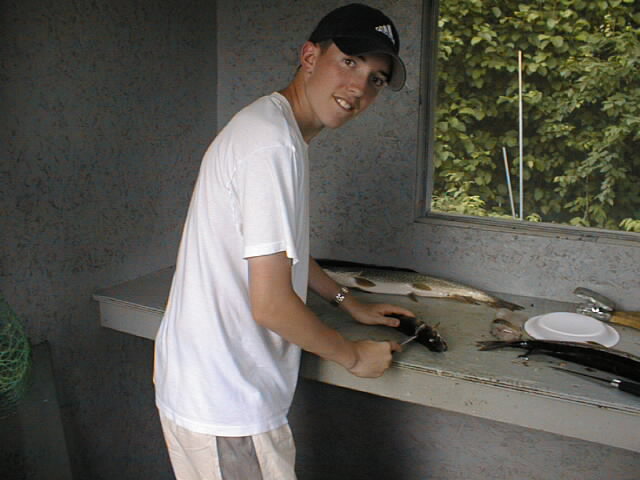 {short description of image}